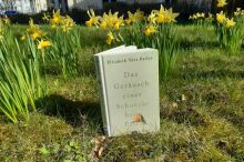 Buch steht im Gras vor gelben Narzissen.